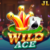 Wild Ace - 666 casino games